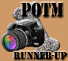 Photo Of The Month Contest Runner-Up